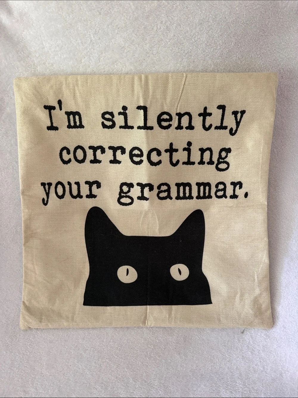 ‼️3/$10‼️ Grammar Cat Decorative Pillow Cover in Cream and Black